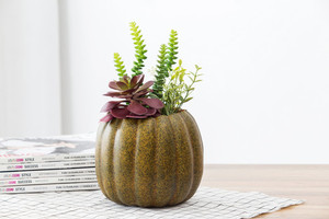 Nuovo disegno a buon mercato all'ingrosso vero tocco bella artificiale piante succulente in vaso di <span class=keywords><strong>zucca</strong></span> per la decorazione - Product Image 2