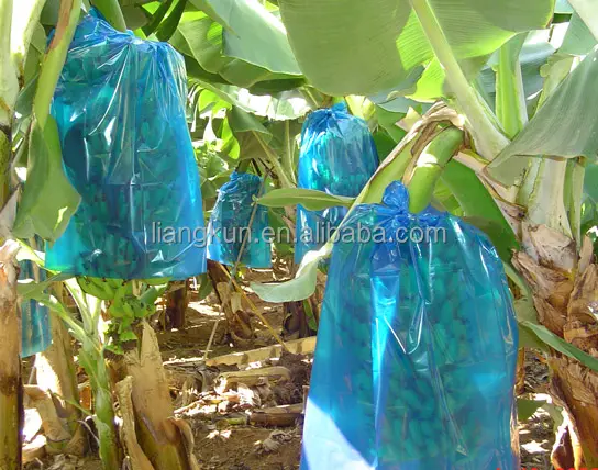 Agriculture blue perforated plastic polyethylene bags for banana