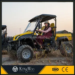 Utv 4x4 מיני עגלת ג 'יפ/ציד עגלת באגי