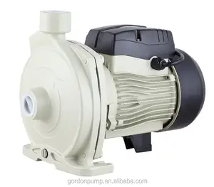 促销GORDON泵小型离心式水泵电机水泵