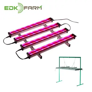 Hydroponis System High Power Lumen Indoor Farming Full spectrum Plant Home Led Grow Light for Plant Grow