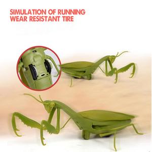 Jouets anti-insectes IR, Mantis, Autoshow drôle, coccinelle Rc, animaux - Product Image 2