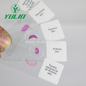 Toboganes de microscopio para enseñanza y aprendizaje, alta calidad y mejor <span class=keywords><strong>precio</strong></span> - Product Image 2