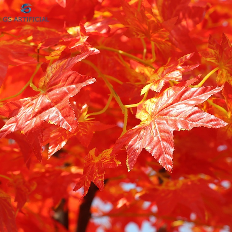 สีแดง