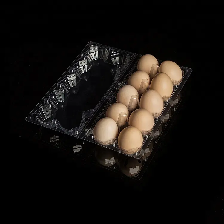 ที่กำหนดเองพีวีซี10ถาดไข่โปร่งใสทิ้งพลาสติกถาดไข่/กล่อง/ภาชนะเป็นมิตรกับสิ่งแวดล้อม