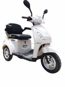 EVERBRIGHT EEC COC Certifié 48V Tricycle à pédales à trois roues Moto électrique pour adultes Handicapés Carrosserie ouverte Motorisée - Product Image 2
