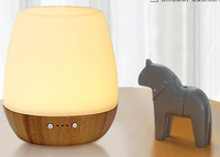 Mini huiles essentielles relaxant humeur éclairage humidificateur à ultrasons diffuseur d'arôme en céramique Usb humidificateur d'air Machine