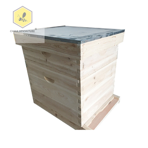 Herramientas de Apicultura de China, Colmena de Abejas Dadant, Colmena de Abejas de Madera Dadant - Product Image 3