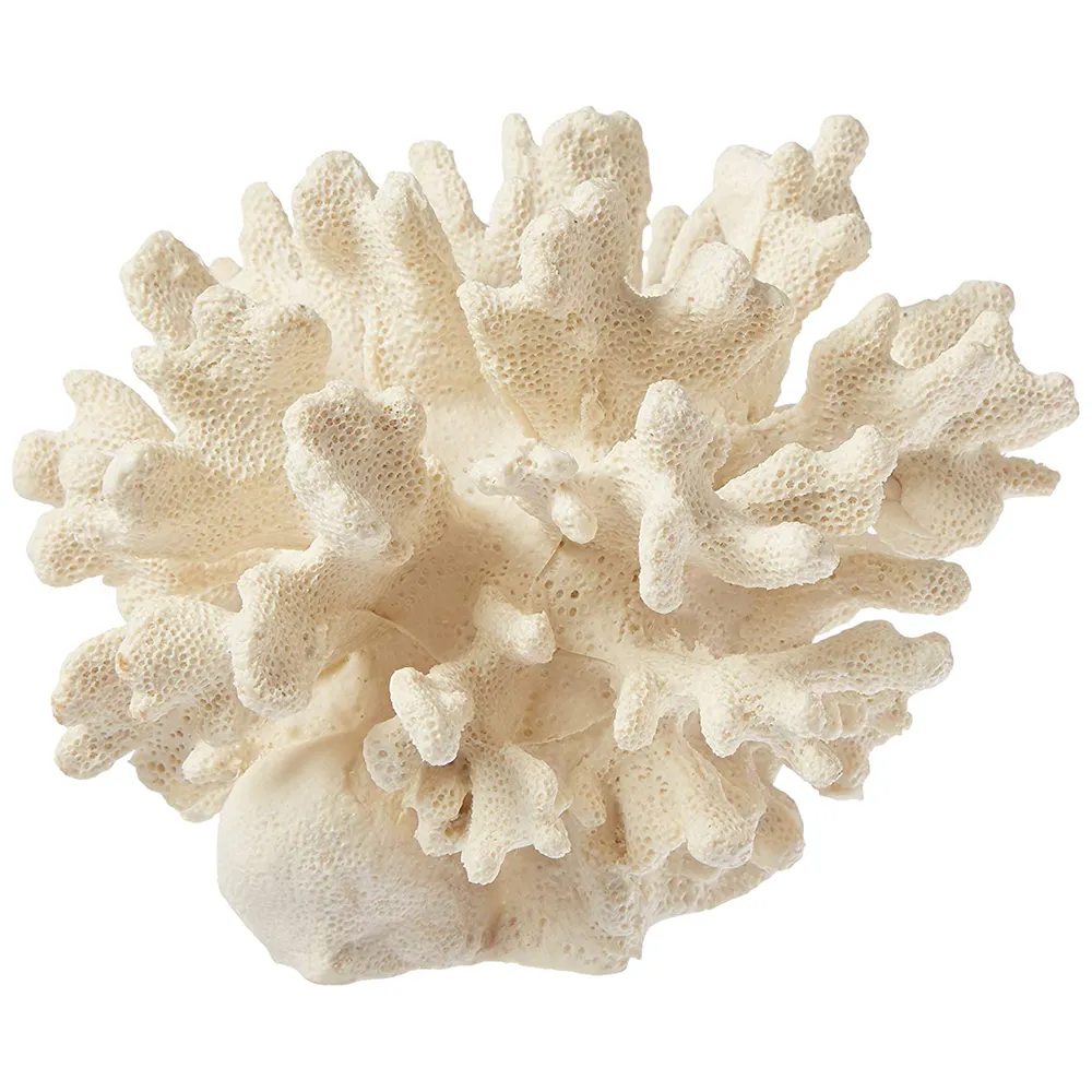 Branco Coral Resina Decoração Para Casa