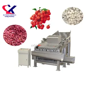 Automatische Lychee verarbeitung linie, Schälmaschine/Lychee Schäler/Lychee schälen entfernen maschine