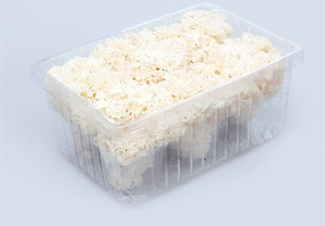 Detan Fresh Sparassis Crispa <span class=keywords><strong>Chou</strong></span>-<span class=keywords><strong>fleur</strong></span> <span class=keywords><strong>Champignon</strong></span> Prix - Product Image 3