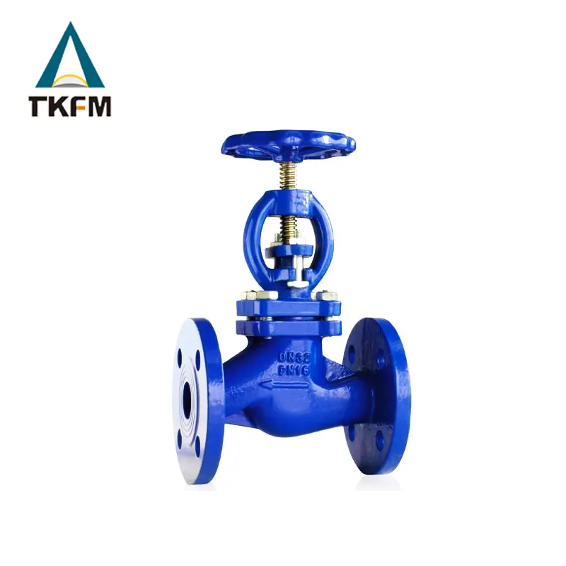 TKFM Trung Quốc nhà sản xuất nước biển api dưới đây con dấu rf thép không gỉ globe valve j41h