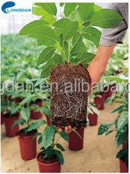 Goedkope Prijs Hydrocultuur <span class=keywords><strong>Rock</strong></span> Wol Blokken Voor Landbouw Greenhouse - Product Image 2