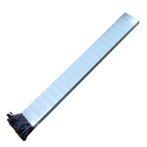 SMD 5050นำแถบไฟ12โวลต์60 Leds/m RGB IP20แถบแสง - Product Image 2