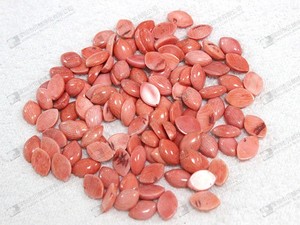 Venta al por mayor de coral natural - Product Image 5