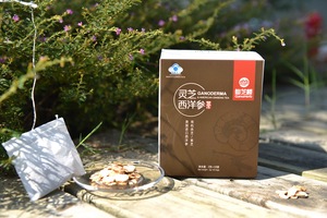 Muestra shipping ginseng instant tea herbal Lingzhi reishi mushroom Ganoderma lucidum - Product Image 2