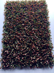 LSD-1108043 <span class=keywords><strong>real</strong></span> como <span class=keywords><strong>cesped</strong></span> <span class=keywords><strong>artificial</strong></span> estera, <span class=keywords><strong>Cesped</strong></span> <span class=keywords><strong>artificial</strong></span> decorativo estera, Verde apuesto <span class=keywords><strong>cesped</strong></span> <span class=keywords><strong>artificial</strong></span> estera - Product Image 2