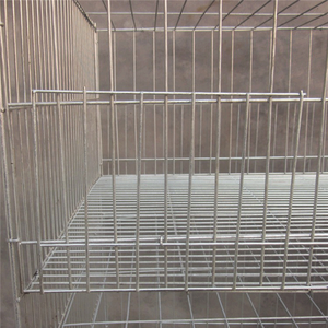 Tedarik sıcak satış ucuz horoz Broiler - Product Image 2