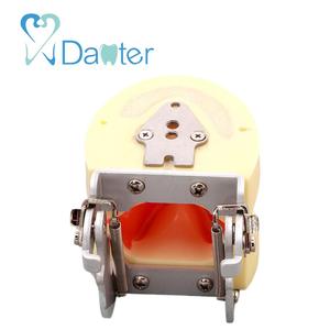 China Vervaardigen Tandheelkundige Model <span class=keywords><strong>Implant</strong></span> Practice Model met Siliconen Gingivae voor Student Praktijk - Product Image 3
