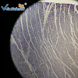 Hot Bán Thú Y mô học trượt kính hiển vi chuẩn bị Slide giáo dục mẫu vật - Product Image 6