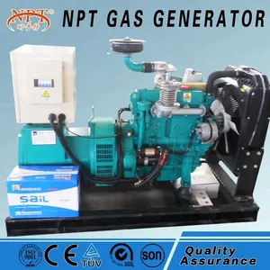 Harga Generator Gas Alami 30KW, Biogels/Biomas/Gas Kecil