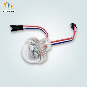 DC12V UCS2903 Programmable Pixel LED 26mm White Fun Light for Amusement Parks IP65 Point Lights