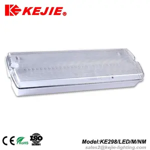 ضوء الطوارئ Led Smd2835 مع معايير المملكة المتحدة, 2022 Kejie 3W - 8W 51 قطعة