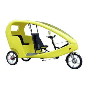 1000 와트 모터 3 바퀴 택시 전기 자전거 2 여객 자전거 Pedicab 판매
