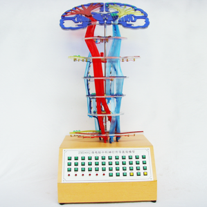 Gelsonlab HSEM-012 Máy Vi Tính Trung Tâm thần kinh dẫn mô hình - Product Image 2