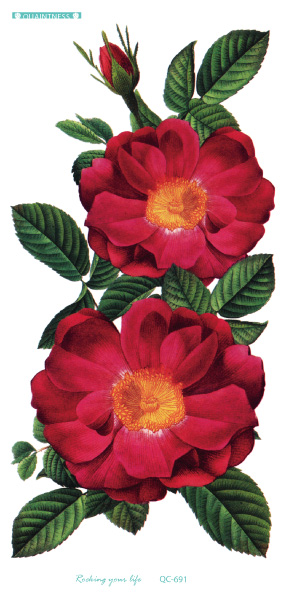 Controllo di qualità-691