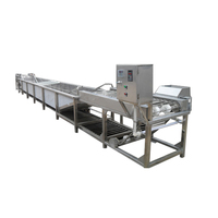 Zware Industriële Rvs Groente Blancheren Machine/Fruit Blancheren machine