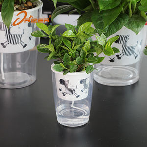 Free Sample Wholesale Biodegradable <strong>clear</strong> zebra Pattern Plastic <strong>Orchid</strong> Seedlings Plant Nursery Flower <strong>Pots</strong> - Product Image 3