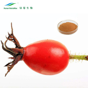 Natural orgánica Rosa canina extracto de fruta escaramujos extracto en polvo (ratio: 4:1 5:1 10:1) - Product Image 2