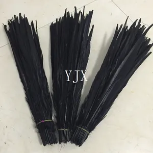 40-45cm del commercio all'ingrosso lungo plumas de faisan ringneck piume di fagiano immagini