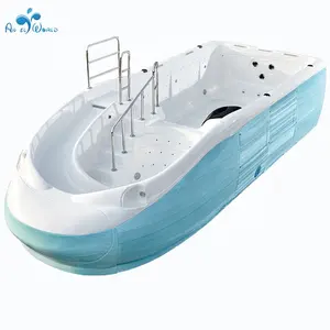 Новый дизайн, стиль лодки, акриловый бассейн для родителей и детей с горкой