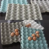 卵養鶏場用古紙パレット製造機30卵トレイ製造生産ライン