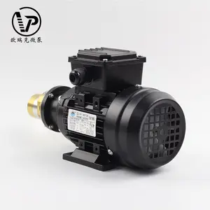 Gear Water Pumps 960-5400 Ml Min 180W Explosion Proof Fuel Magnetic Gear Stainless Steel Water Pumps Machine For Small Water Pumps Fountains