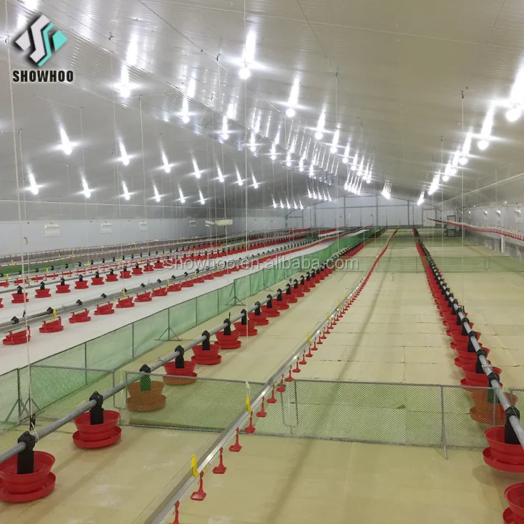 Kommerzielle Stahlrahmen Broiler Geflügelfarm Schuppen vorgefertigte Hühner haus Designs zum Verkauf