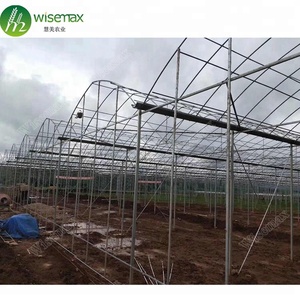 Struttura d'acciaio galvanizzata Tunnel commerciale del pomodoro del rivestimento dello zinco 275g/sqm - Product Image 1