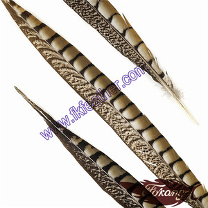 Comercio al por mayor 40-45 "Centro de Señora Amherst Pheasant Plumas de Cola Para La Venta - Product Image 2