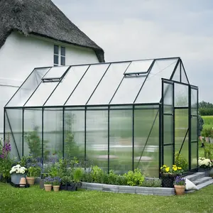 Kostengünstiger DIY mini-garten gewächshaus polycarbonat-blatt / blatt gewächshaus polycarbonat mit rahmen