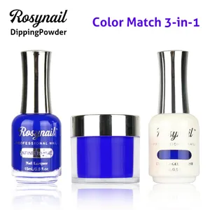 Vendita calda 3 in1 gel polish matching dipping powder nails system 2 in1 gel polish matching colors powder gel nail polish