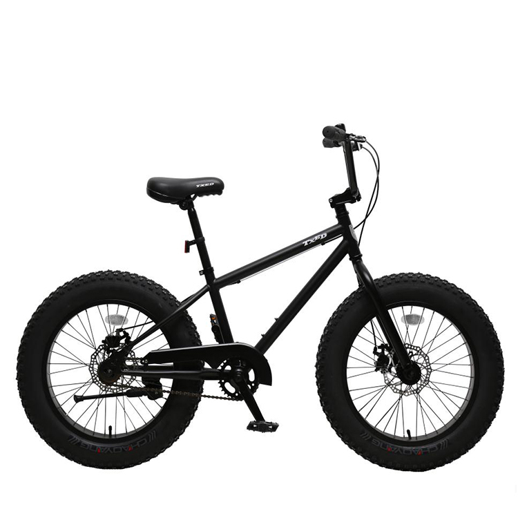 TXED BMX Fat Bike - 20 Inch, 4.0 Inch Tires, Steel Frame