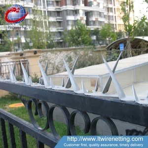 <span class=keywords><strong>Venta</strong></span> caliente anti óxido anti pájaro anti ladrón clavos de metal tamaño mediano pared picos para patio de seguridad - Product Image 3