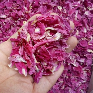 Bulk Supply Scented Tea Red <strong>Dried</strong> Herbaceous Peony Flower <strong>Petals</strong> - Product Image 2