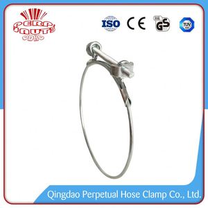 Altamente Pulido <span class=keywords><strong>de</strong></span> Automóviles <span class=keywords><strong>de</strong></span> <span class=keywords><strong>Primavera</strong></span> Sola Abrazadera <span class=keywords><strong>De</strong></span> <span class=keywords><strong>La</strong></span> Manguera - Product Image 1