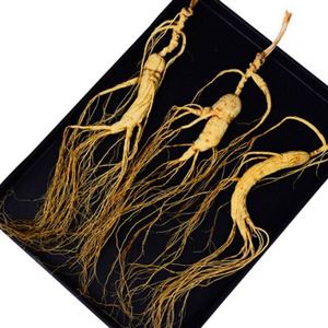 Vahşi <span class=keywords><strong>Ginseng</strong></span> - Product Image 6