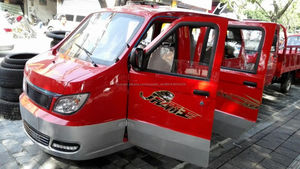 Venta caliente de alta calidad 150cc/175cc/200cc/250cc/300cc cerrado pasajeros triciclo para adultos - Product Image 1