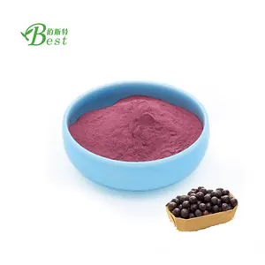 factory wholesale price brazil acai berry /Euterpe badiocarpa fruit powder