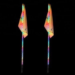 12 V camino poste Combo Set Color bailando Bluetooth Control 4ft 5ft 6ft y tamaño personalizado látigo bandera poste de Luz Kits - Product Image 1